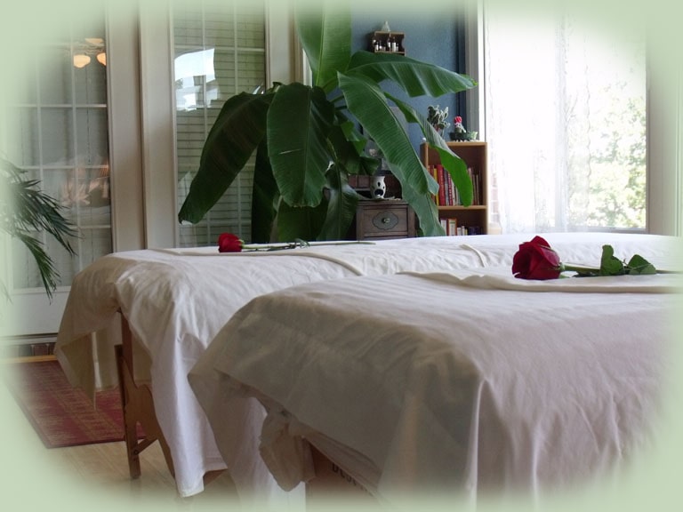 Living Wellness Day Spa, Massage, Facials, Hot Springs AR